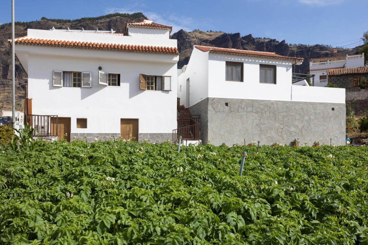 Appartamento Casa Isabela With Roque Nublo View Tejeda  Esterno foto